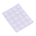 Peitetarra-arkki, valkoinen